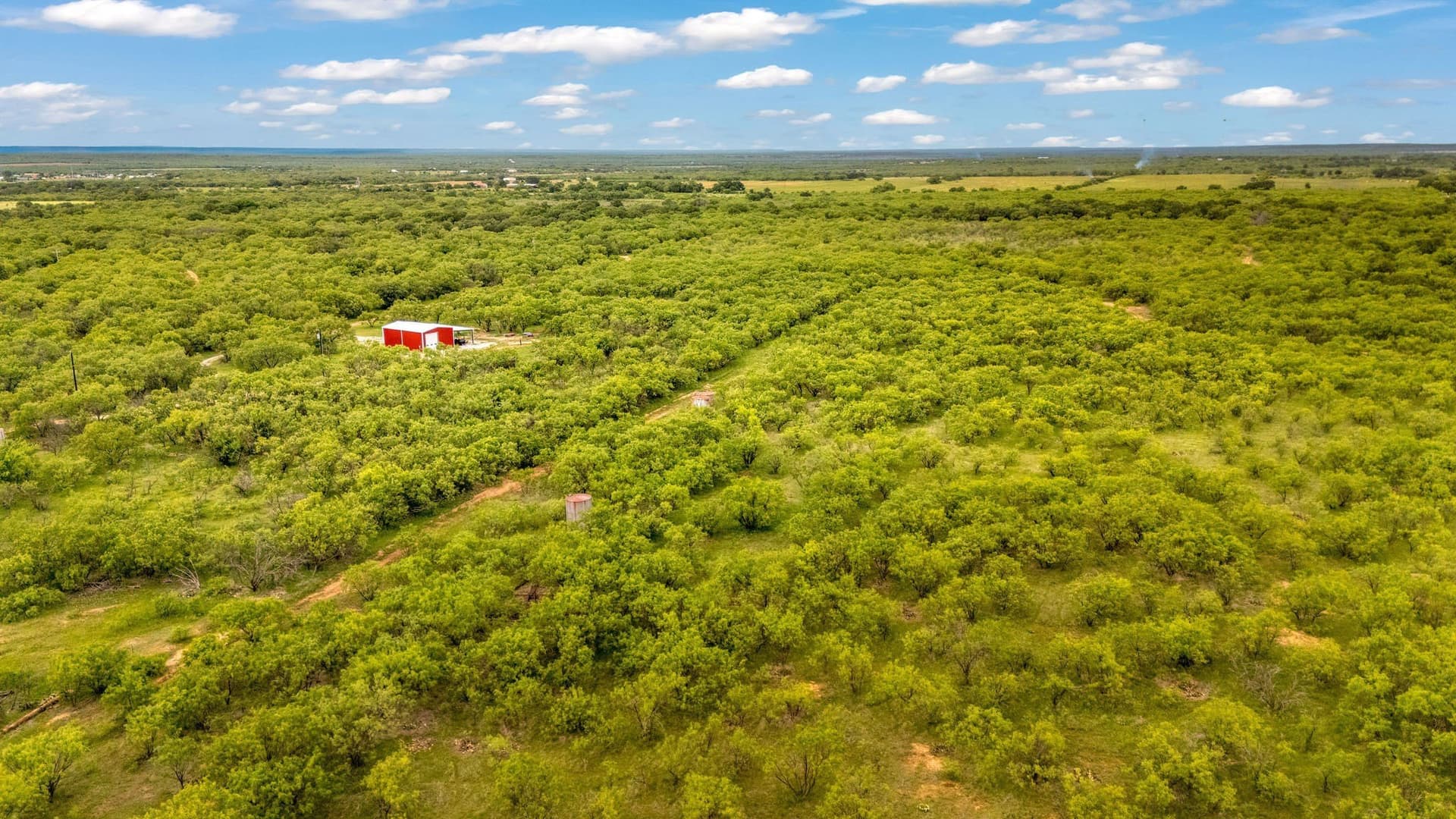 80 acres in Shackelford County - photo 30