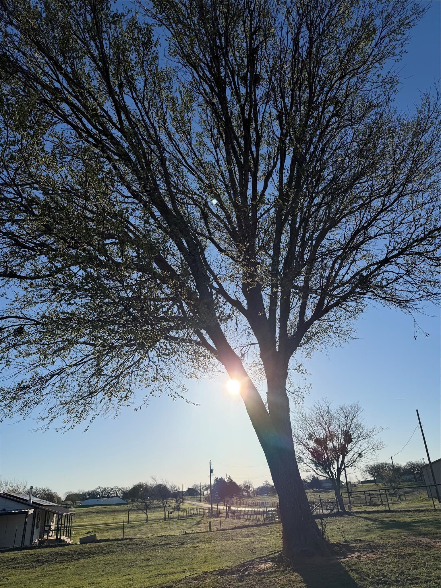 3.99 acres in Wise County - photo 15