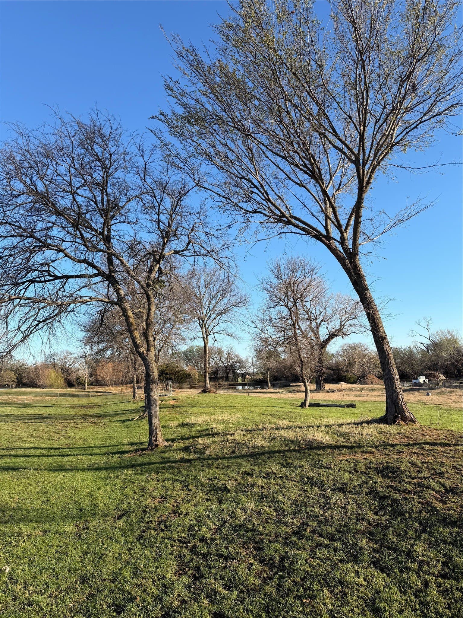 3.99 acres in Wise County - photo 13