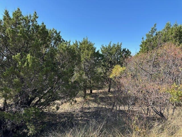 1.01 acres in Palo Pinto County - photo 6