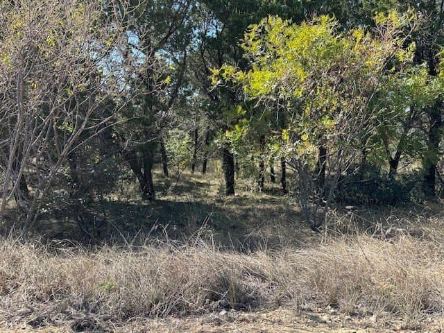 1.01 acres in Palo Pinto County - photo 8