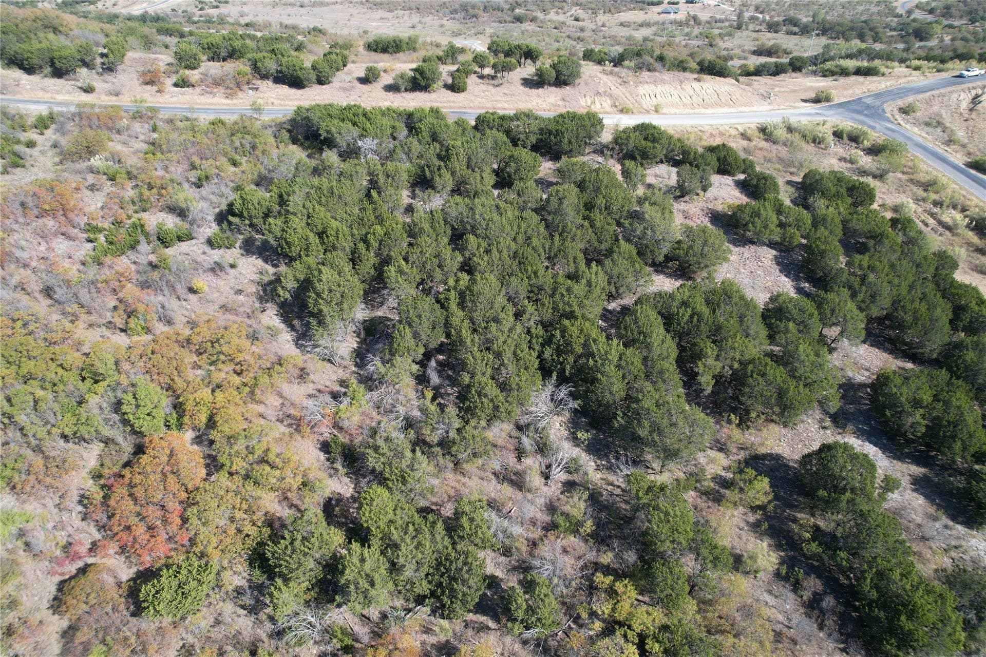 1.01 acres in Palo Pinto County gallery image 4