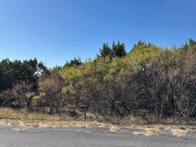 1.01 acres in Palo Pinto County - photo 9