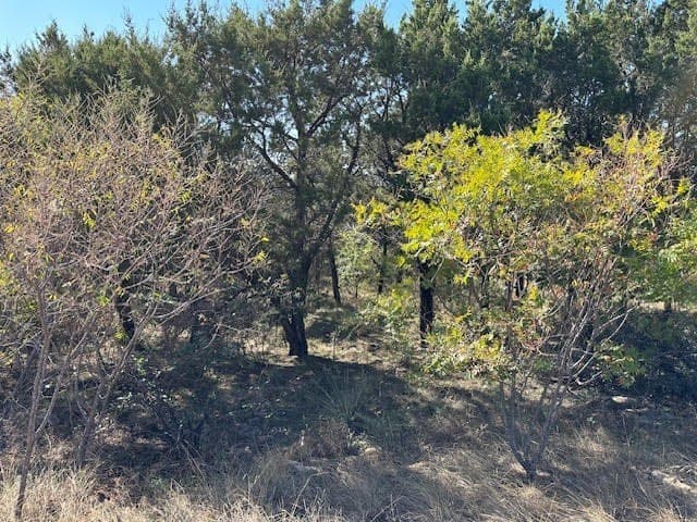 1.01 acres in Palo Pinto County - photo 7