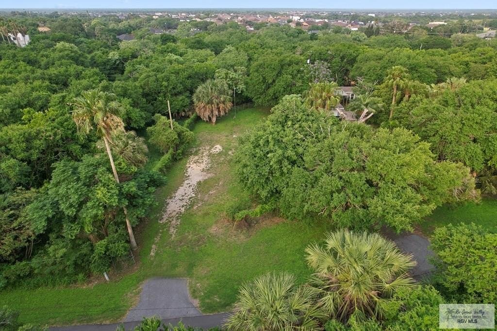 0.32 acres in CAMERON County gallery image 3