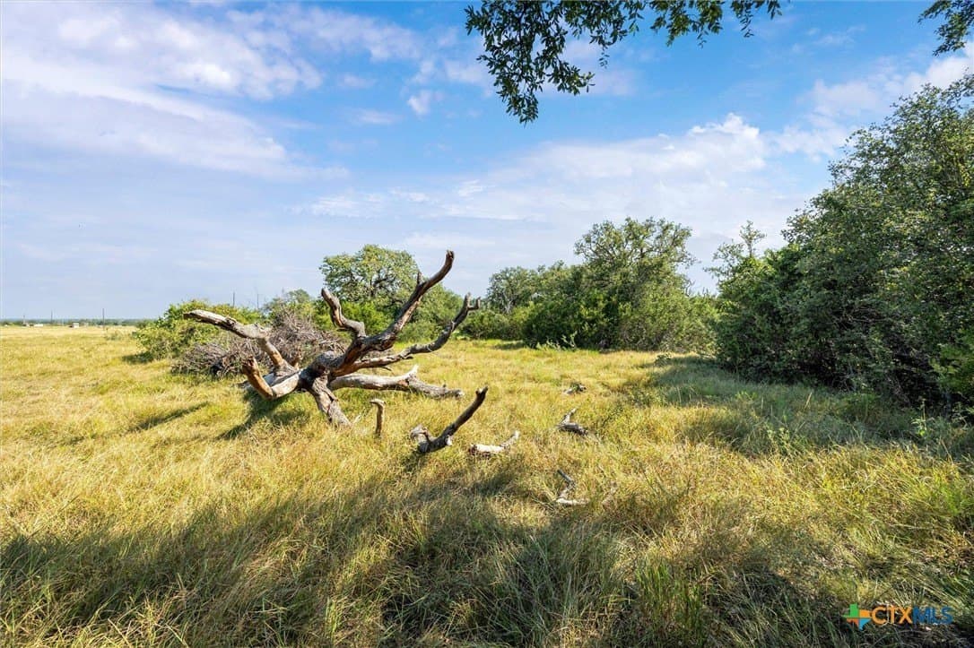 54 acres in Burnet County - photo 21