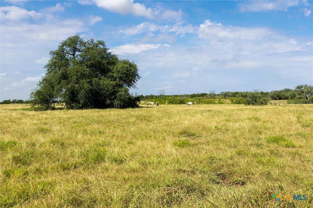 54 acres in Burnet County - photo 17