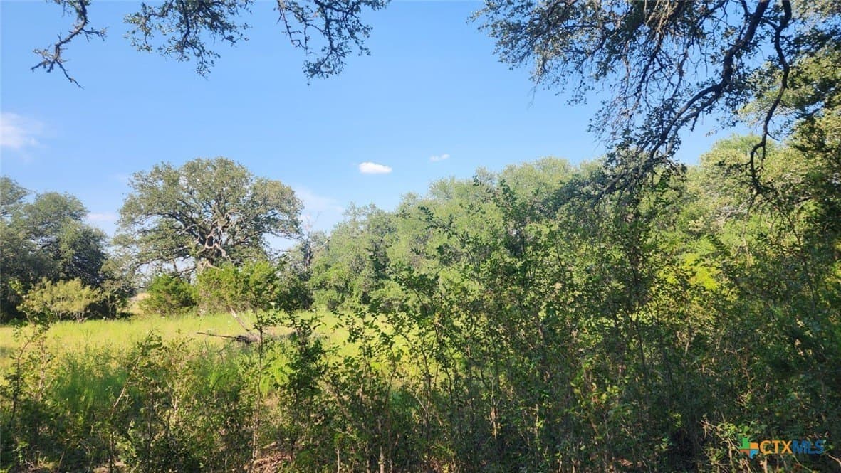 54 acres in Burnet County - photo 9