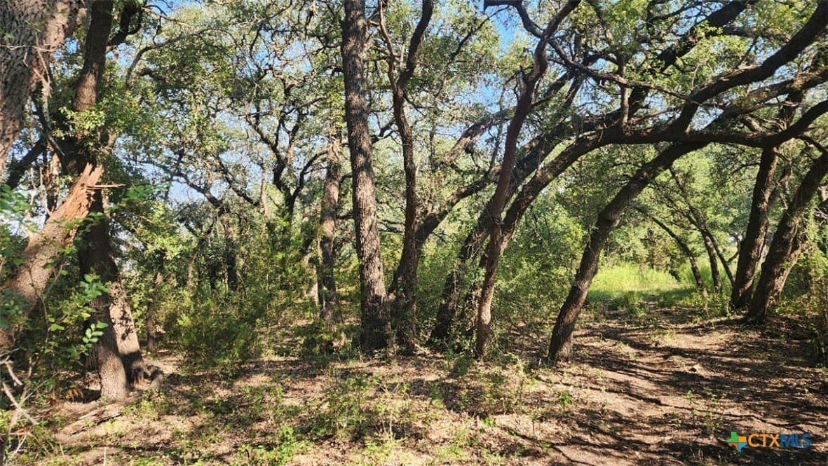 54 acres in Burnet County gallery image 2