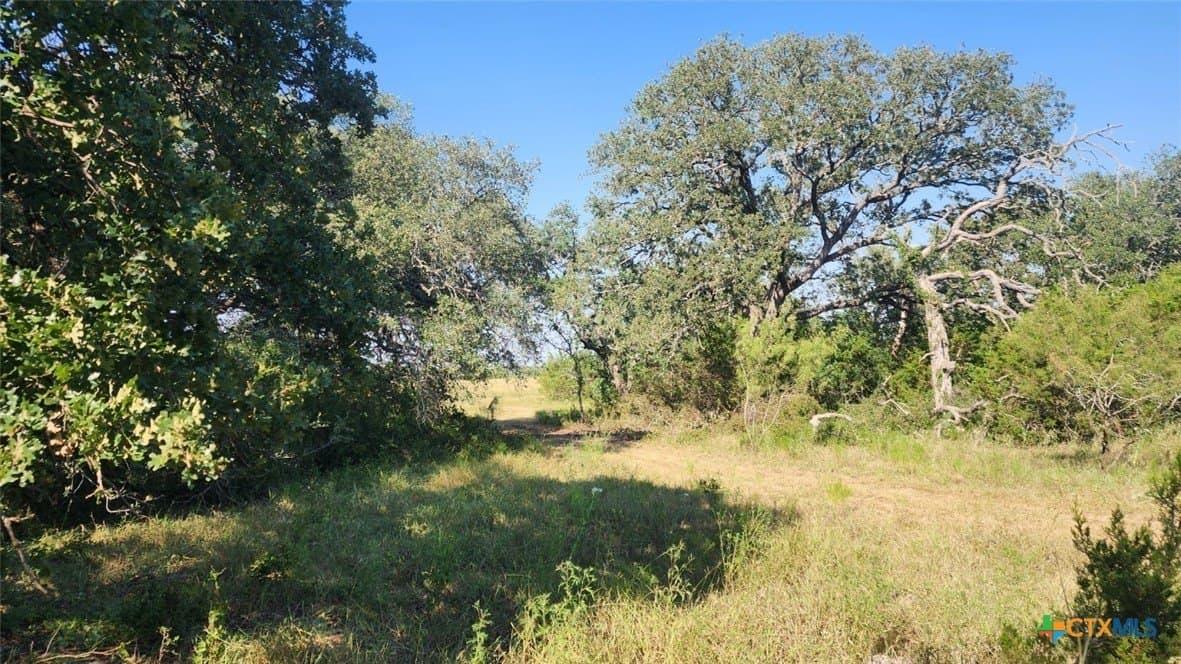 54 acres in Burnet County - photo 11