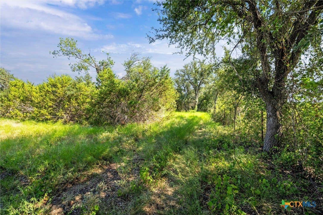 54 acres in Burnet County - photo 18