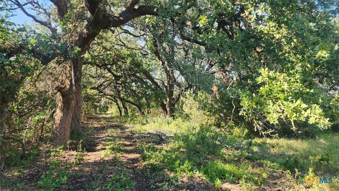 54 acres in Burnet County - photo 10