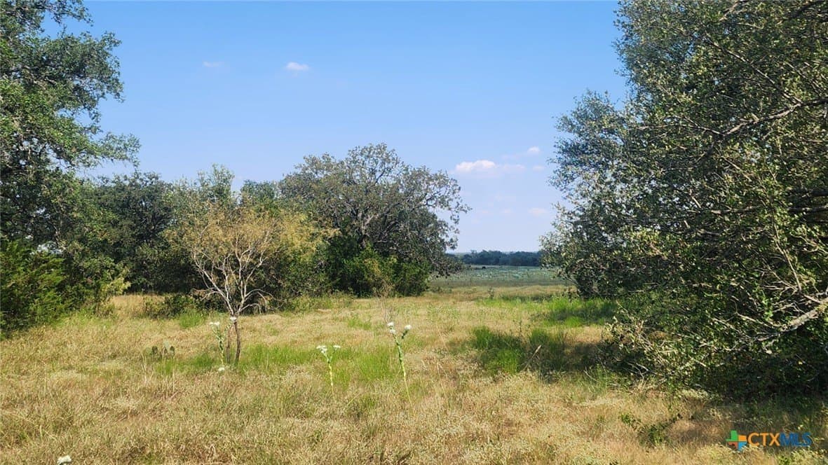 54 acres in Burnet County - photo 7