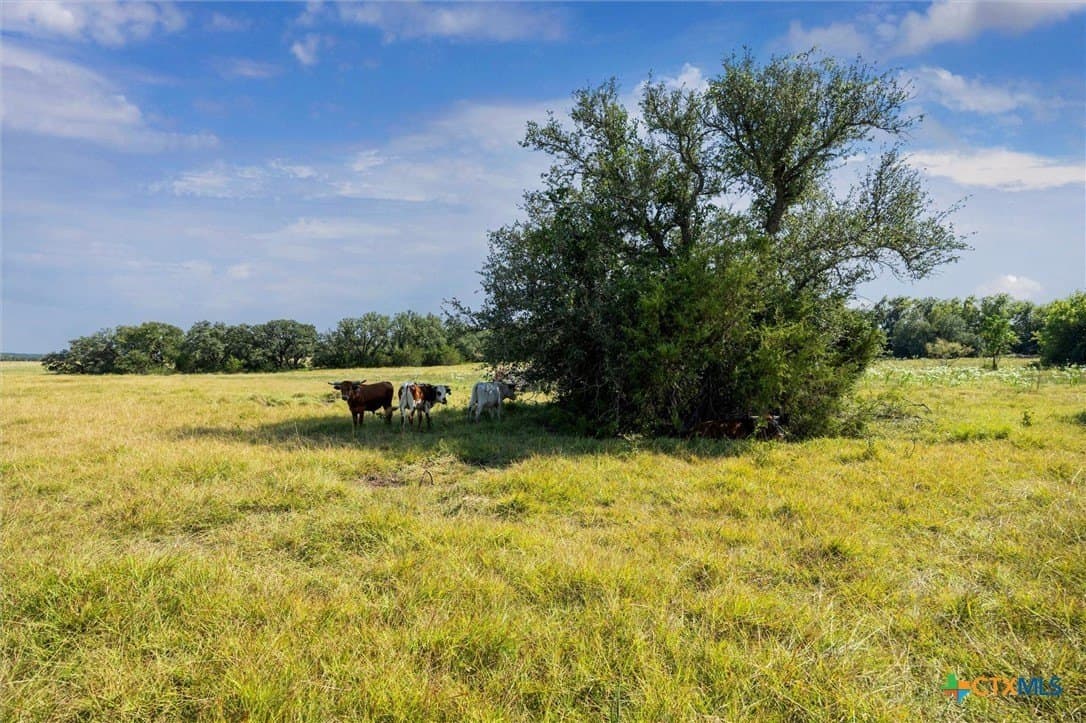 54 acres in Burnet County - photo 22