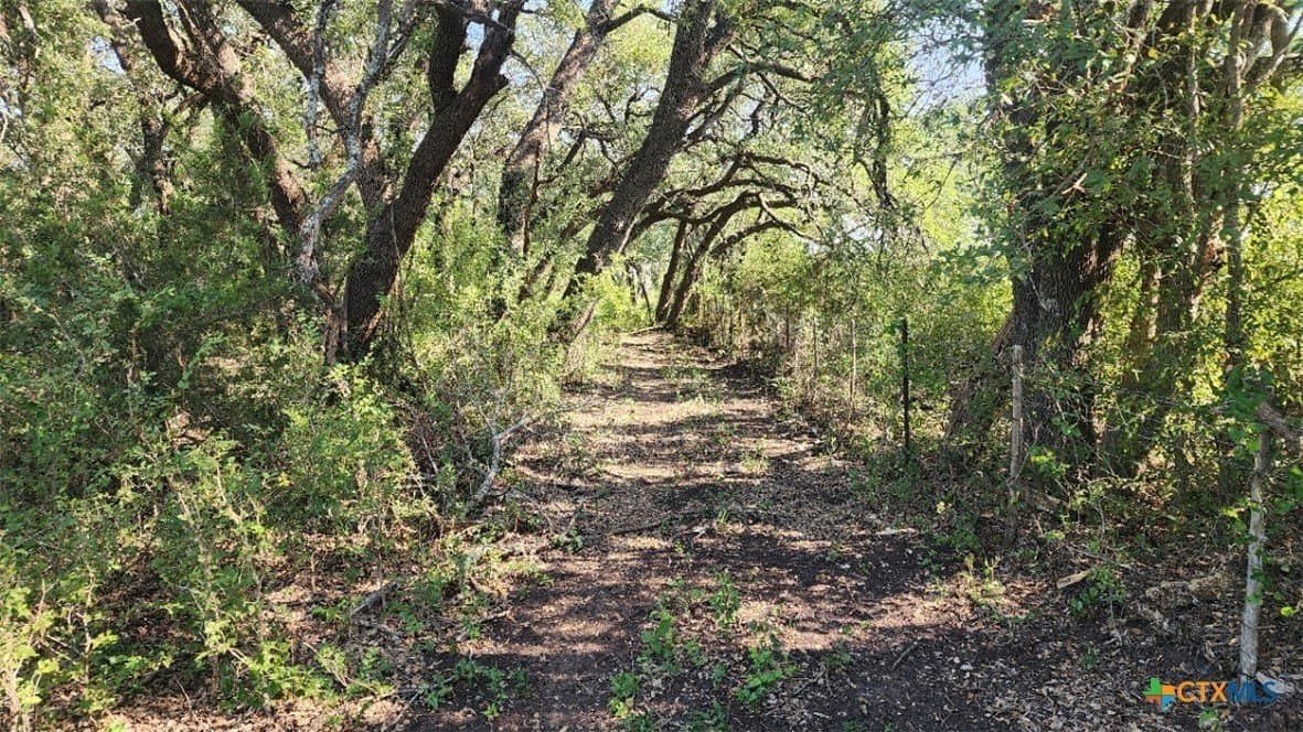 54 acres in Burnet County - photo 8