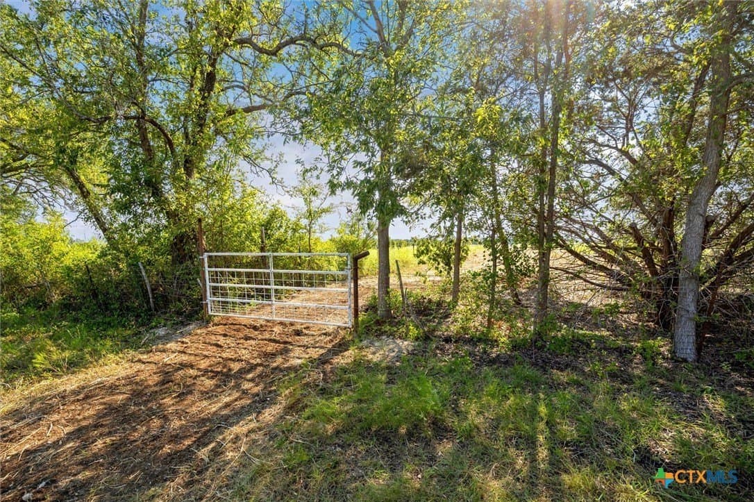 54 acres in Burnet County - photo 24