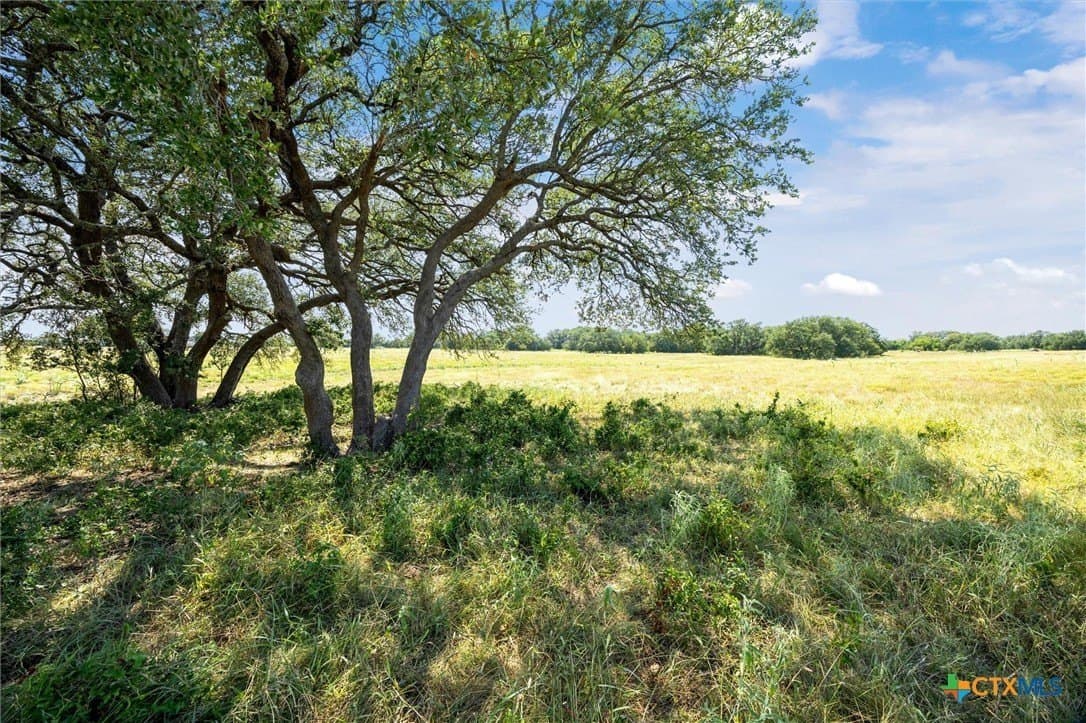 54 acres in Burnet County - photo 15