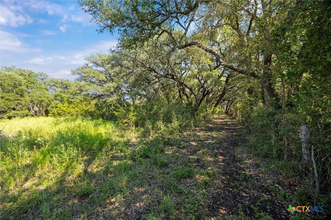 54 acres in Burnet County - photo 23