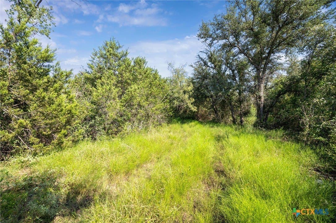54 acres in Burnet County - photo 19