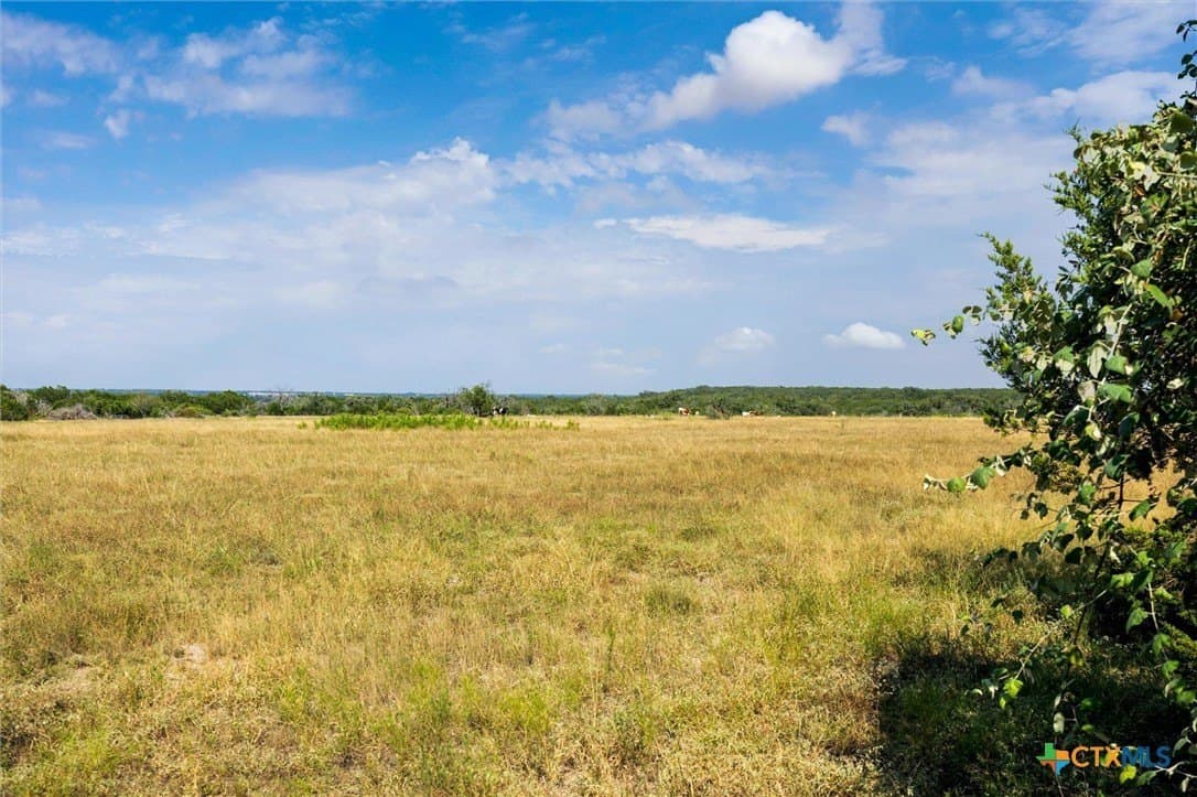 54 acres in Burnet County - photo 20