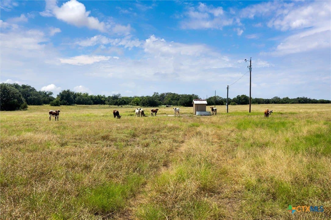 54 acres in Burnet County - photo 16