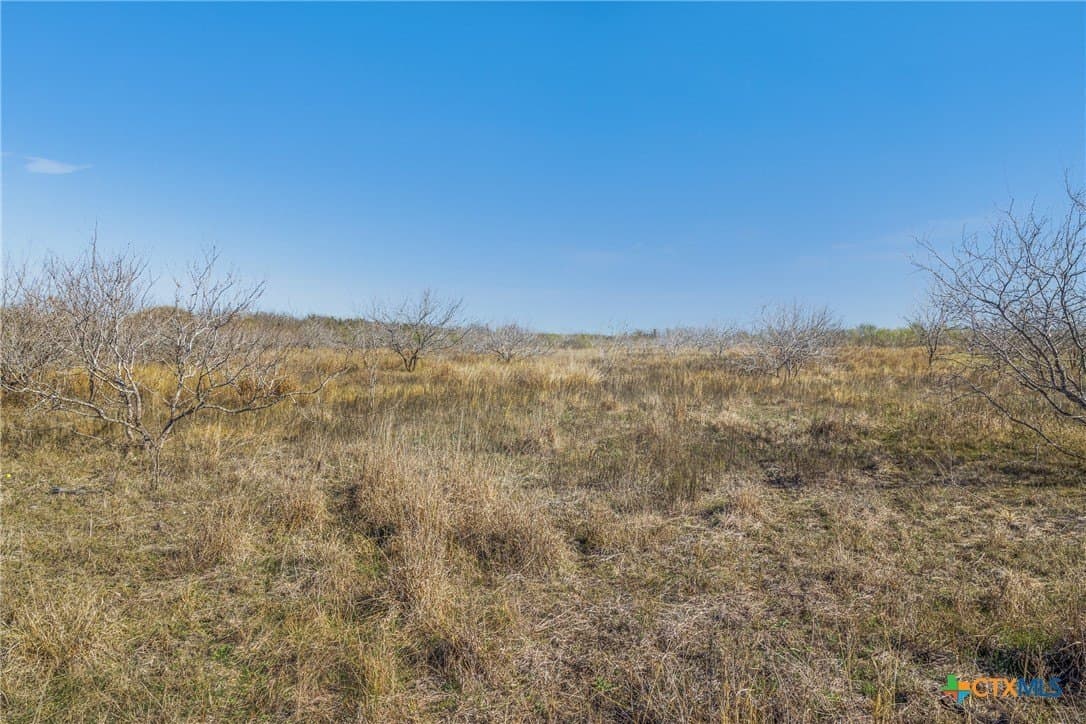 83.23 acres in Hays County - photo 45