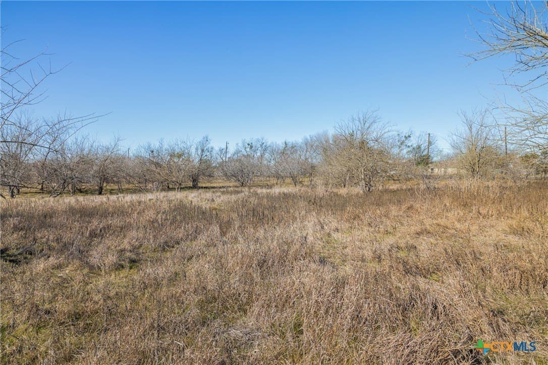 83.23 acres in Hays County - photo 44