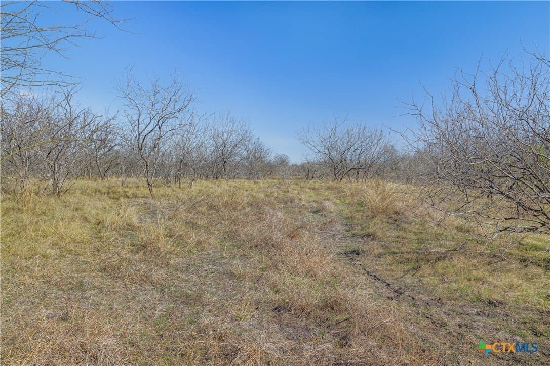 83.23 acres in Hays County - photo 38