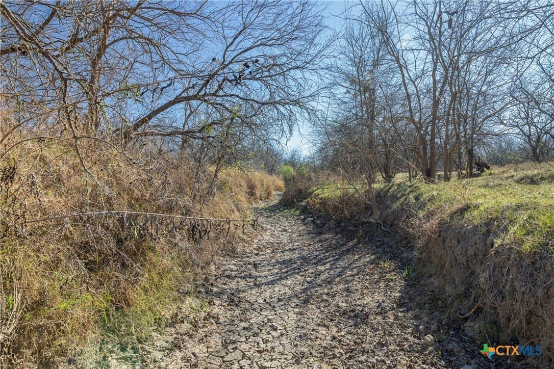 83.23 acres in Hays County - photo 40