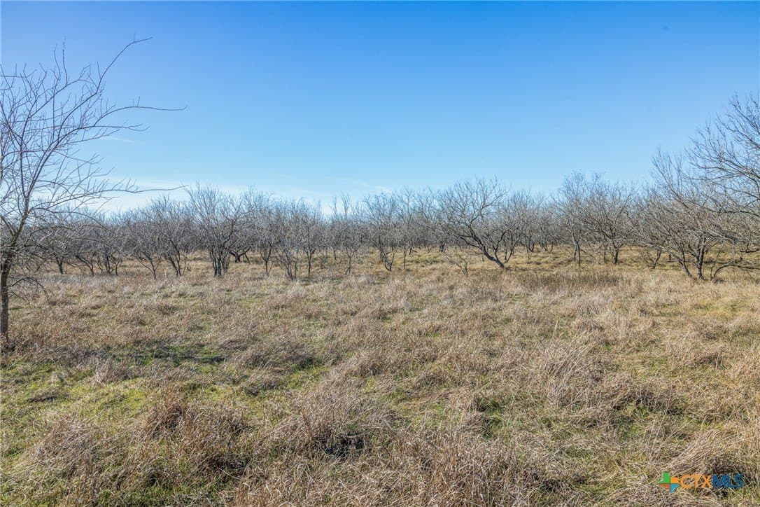 83.23 acres in Hays County - photo 42