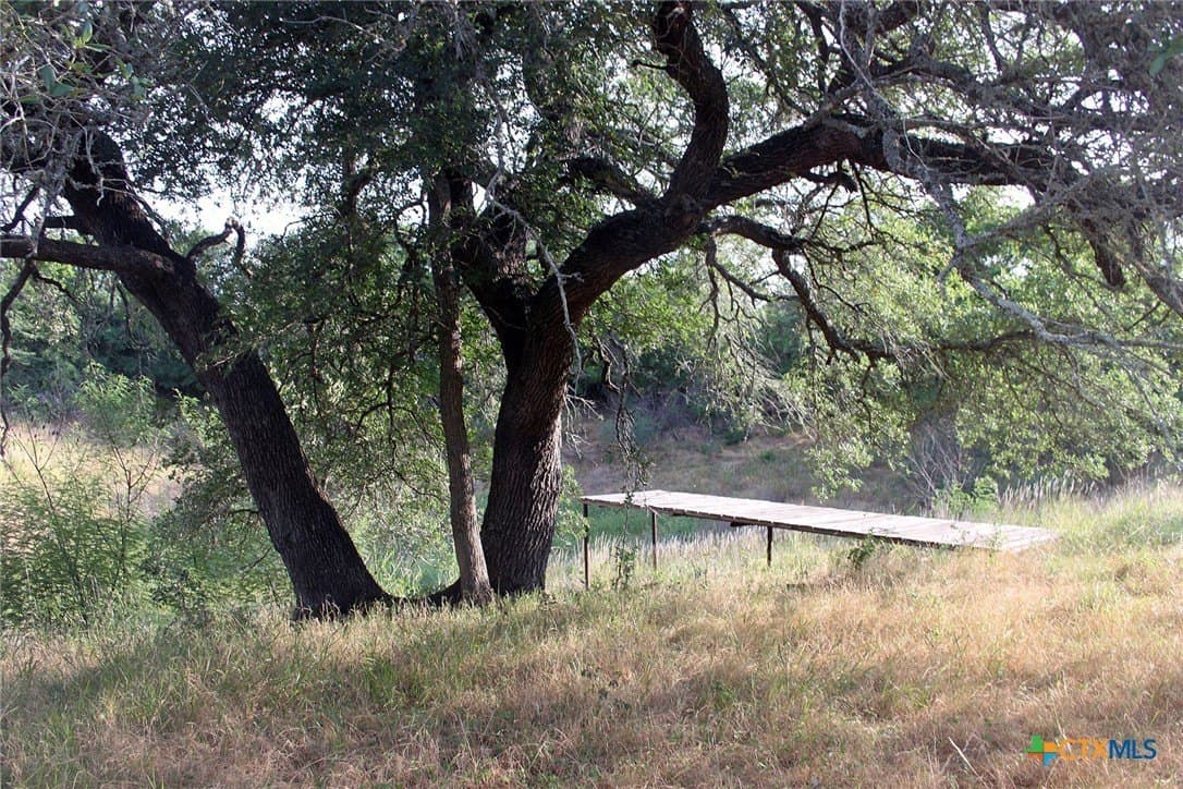 79.61 acres in Caldwell County gallery image 4