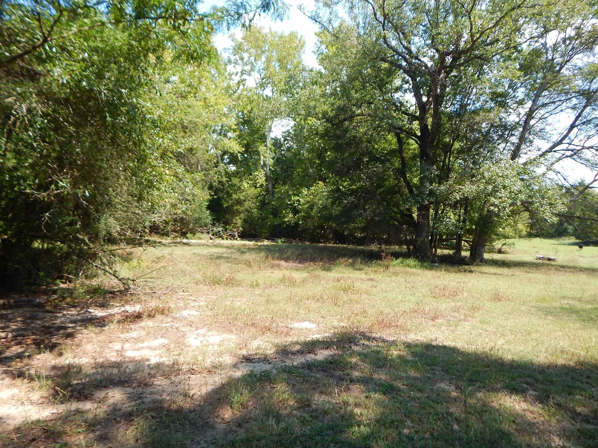 45 acres in Upshur County - photo 10