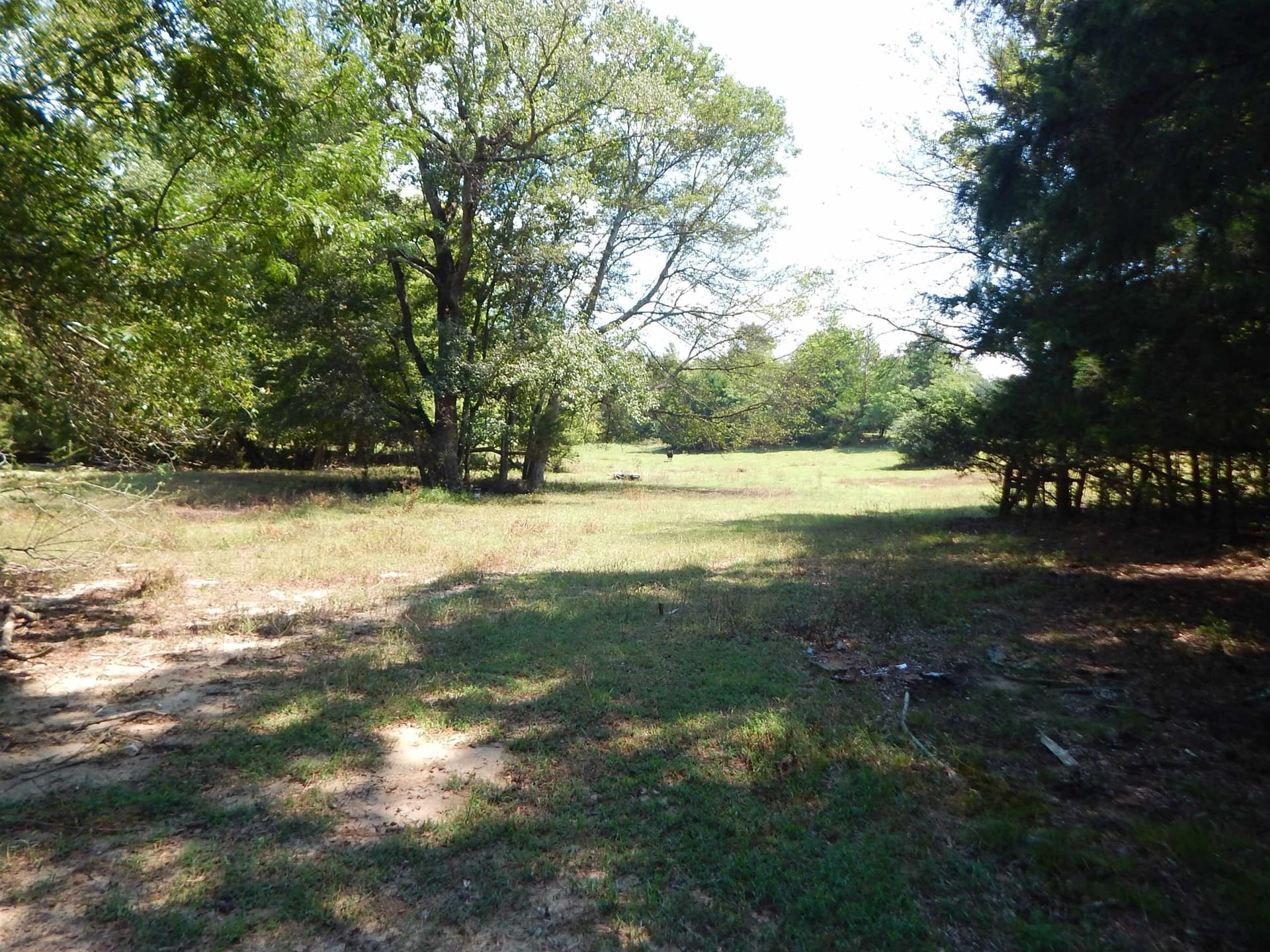 45 acres in Upshur County - photo 9