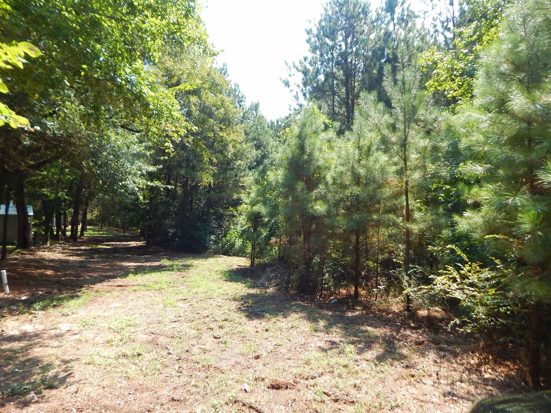 45 acres in Upshur County gallery image 2