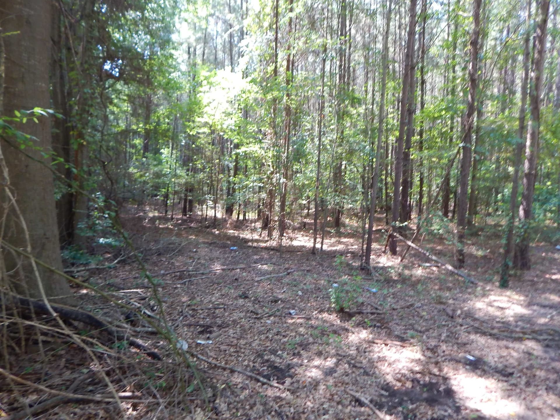 45 acres in Upshur County featured view