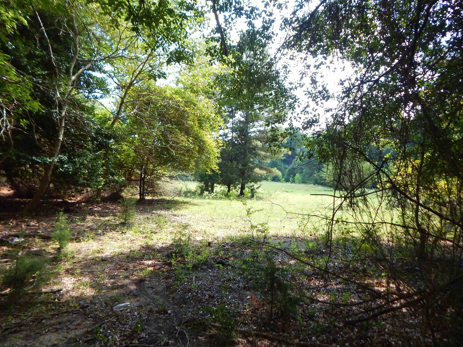 45 acres in Upshur County gallery image 4