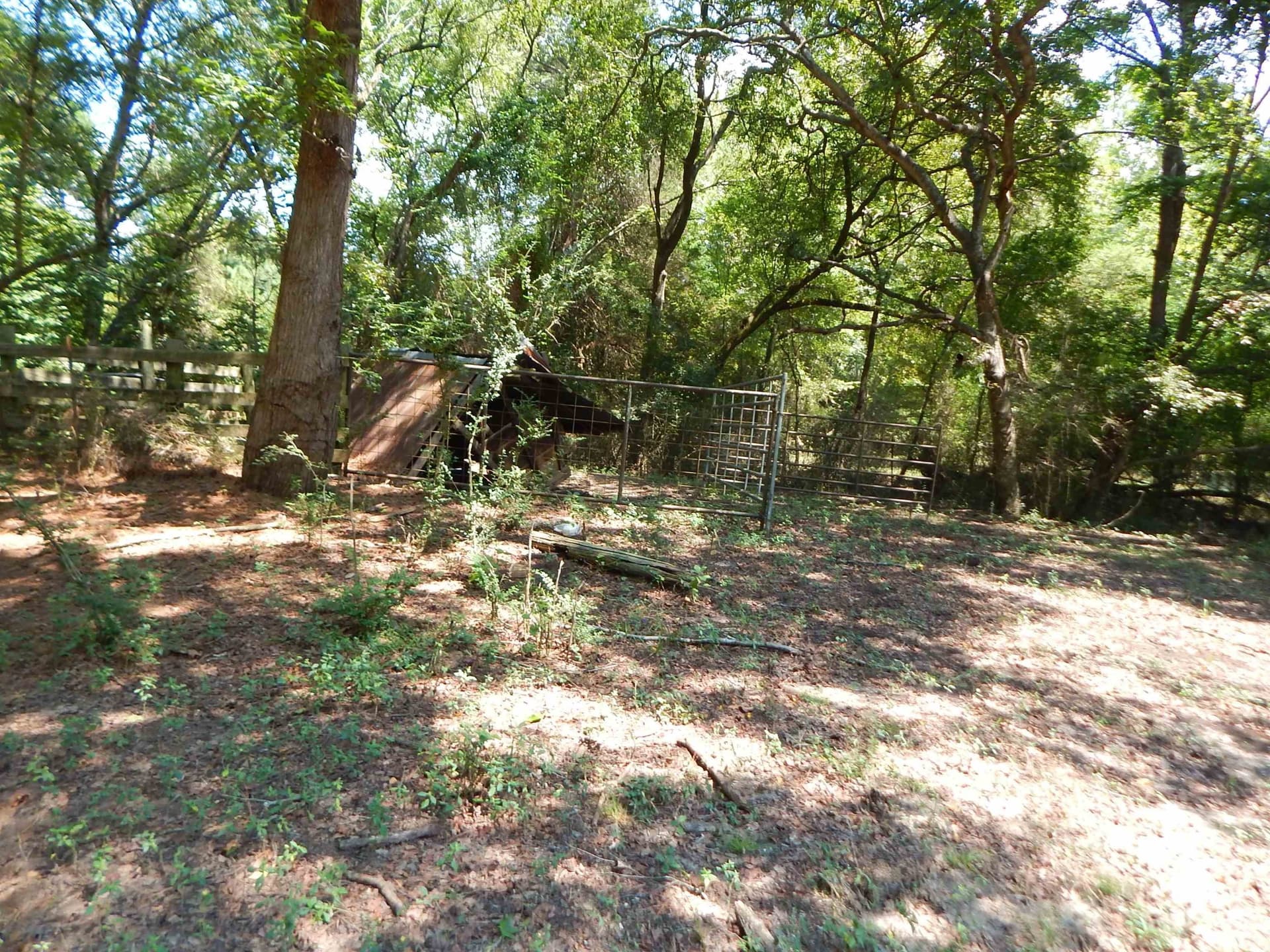 45 acres in Upshur County - photo 8