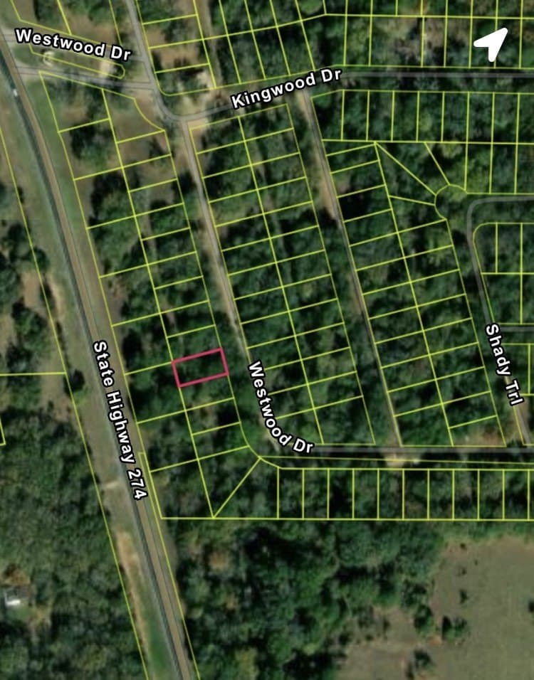 0.12 acres in Henderson County - photo 8