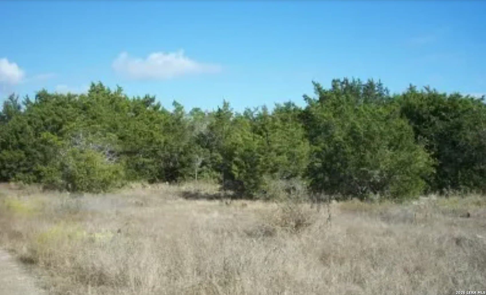 1.37 acres in Comal County - photo 2