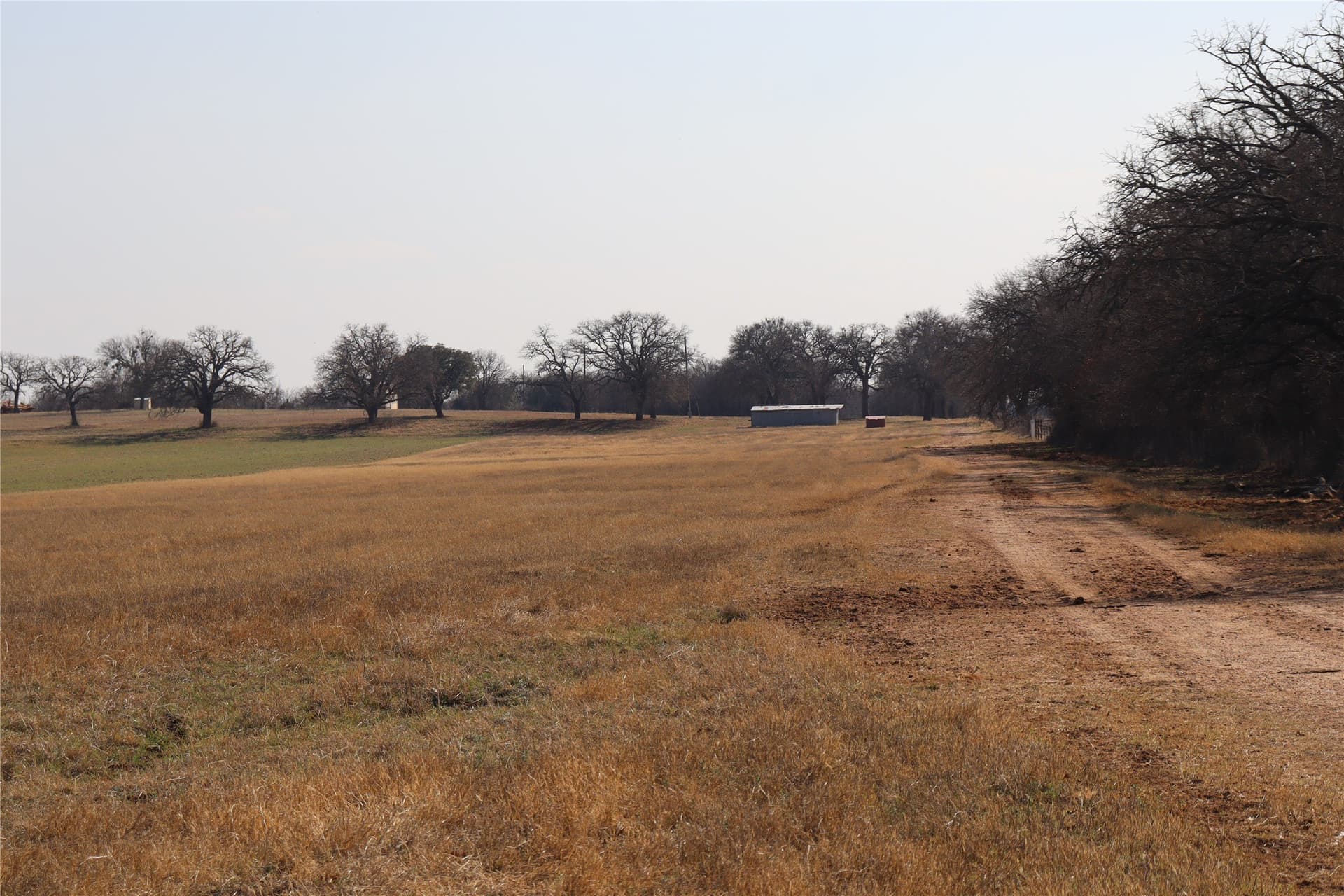 10.14 acres in Comanche County gallery image 3