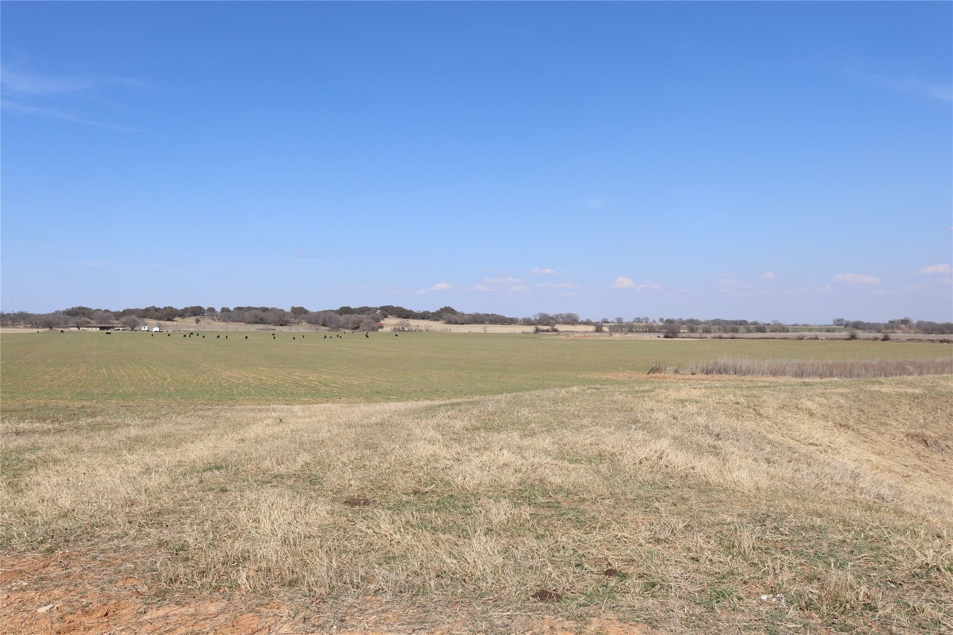 10.14 acres in Comanche County featured view