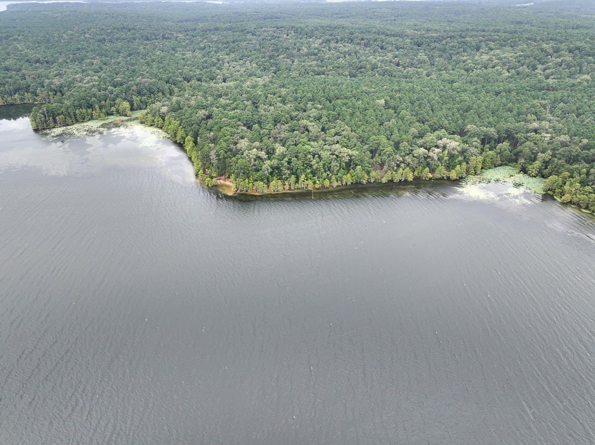 5.5 acres in Sabine (TX) County - photo 30