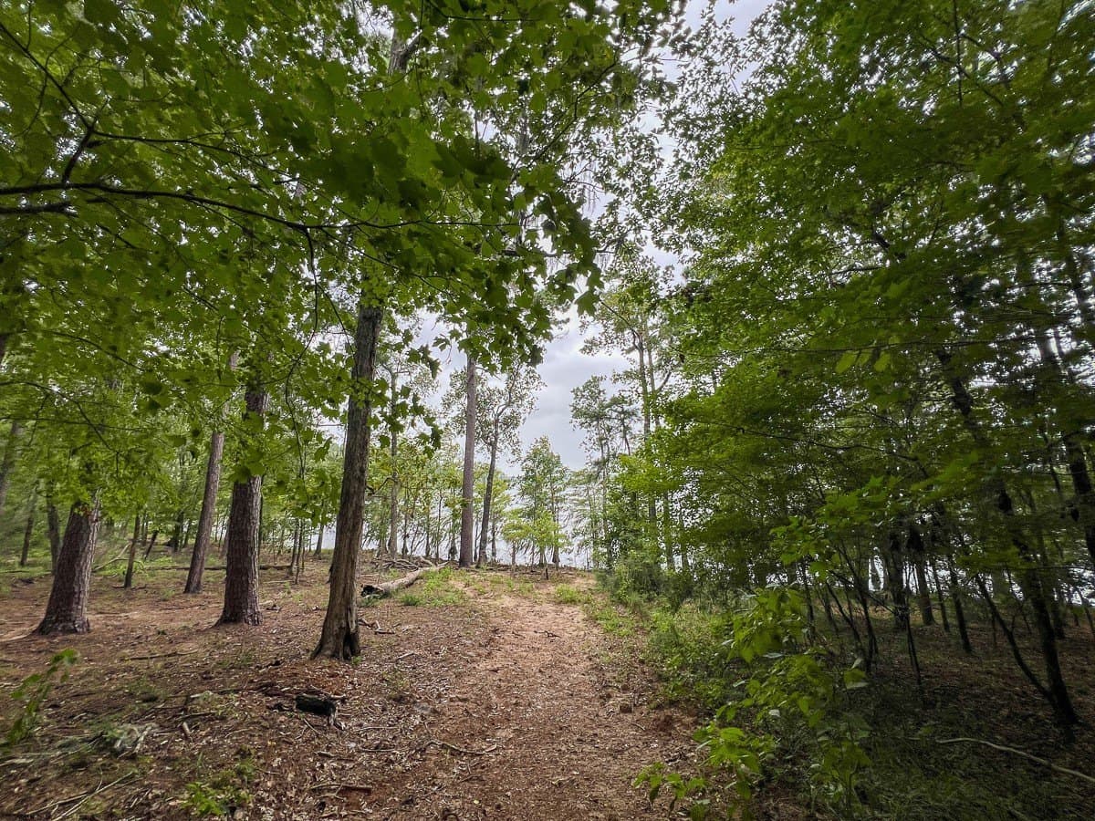 5.5 acres in Sabine (TX) County - photo 12