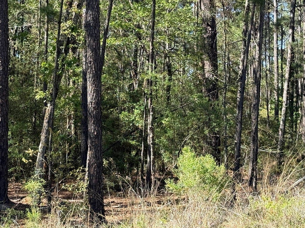 9.41 acres in Texas County - photo 11