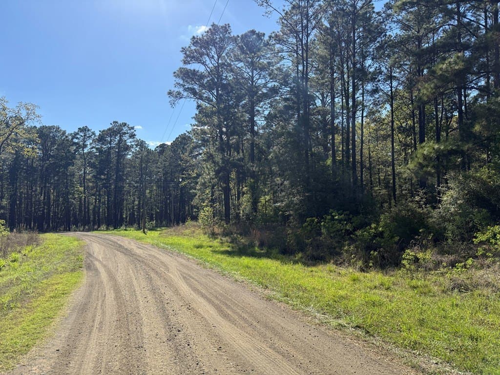 9.41 acres in Texas County - photo 12