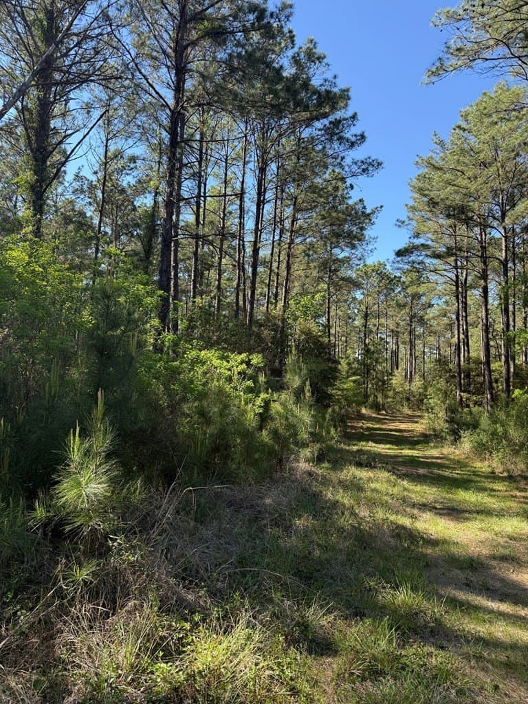 9.41 acres in Texas County - photo 13