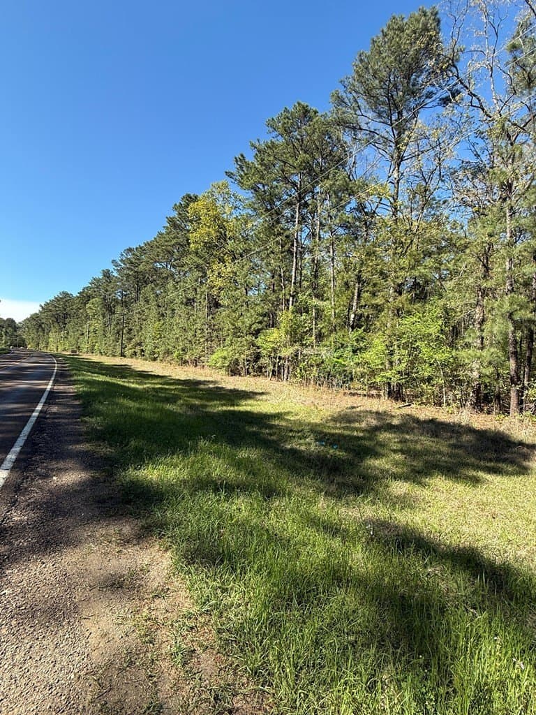 9.41 acres in Texas County - photo 6