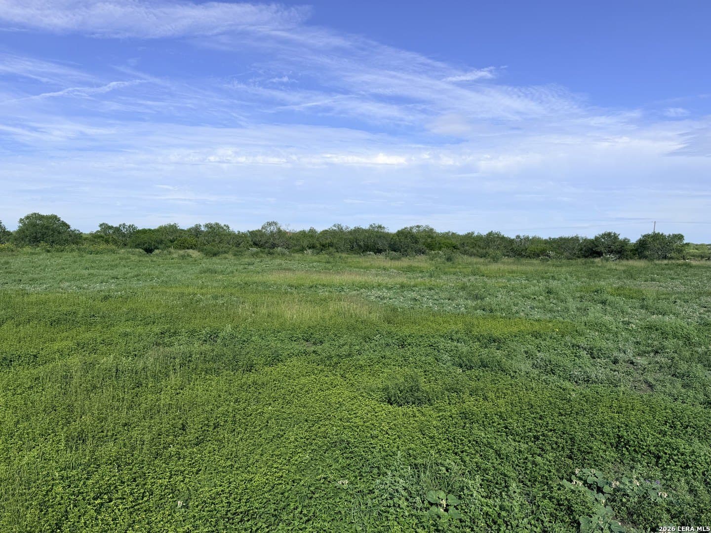 11.52 acres in Atascosa County gallery image 2