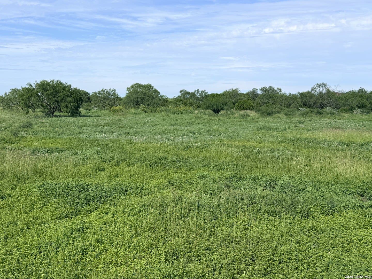 11.52 acres in Atascosa County gallery image 4