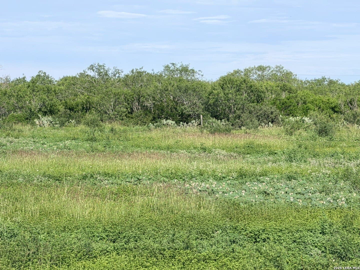 11.52 acres in Atascosa County